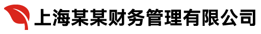 上海某某代理记账有限公司